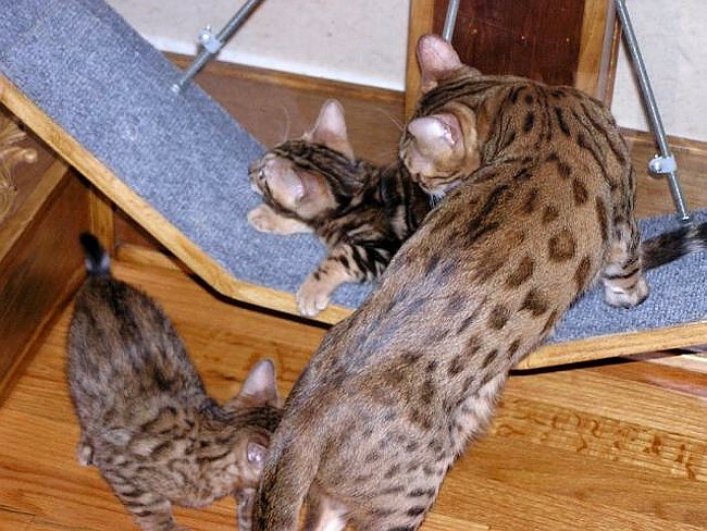 Playtime 4 2004-07-30